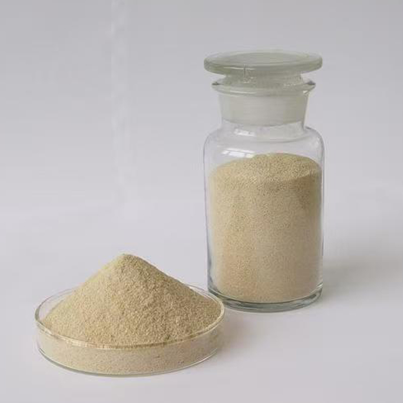 Sodium Alginate (SA)